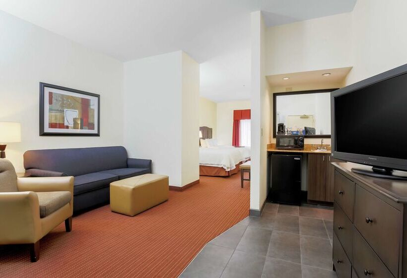 ホテル Hampton Inn Champaign/urbana