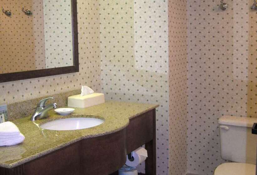 호텔 Hampton Inn Cincinnati/kings Island