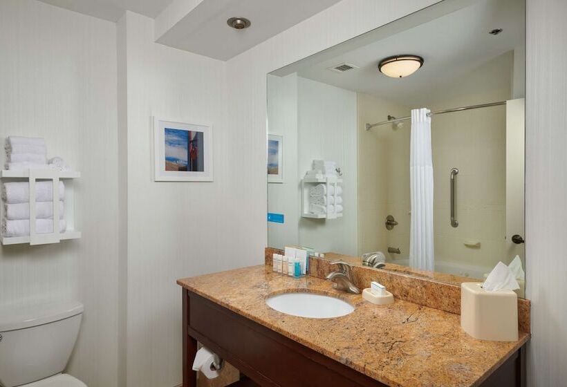 酒店 Hampton Inn Clemsonuniversity Area