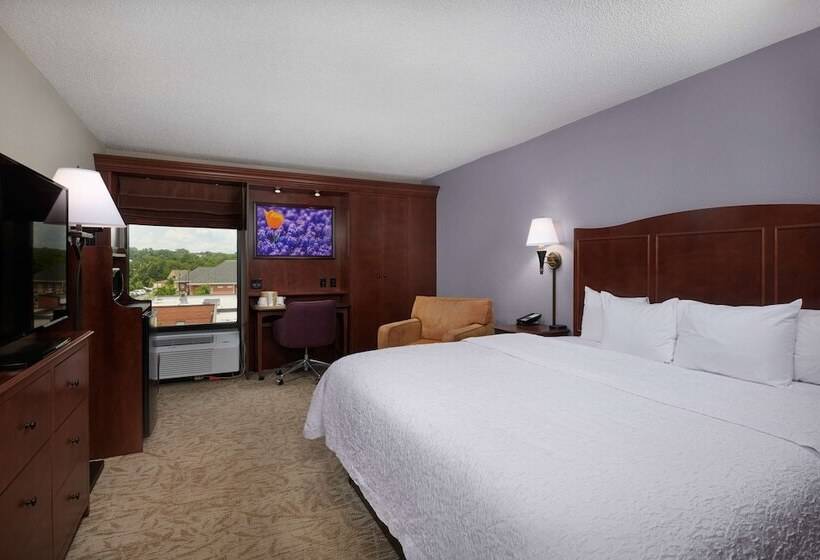 酒店 Hampton Inn Clemsonuniversity Area