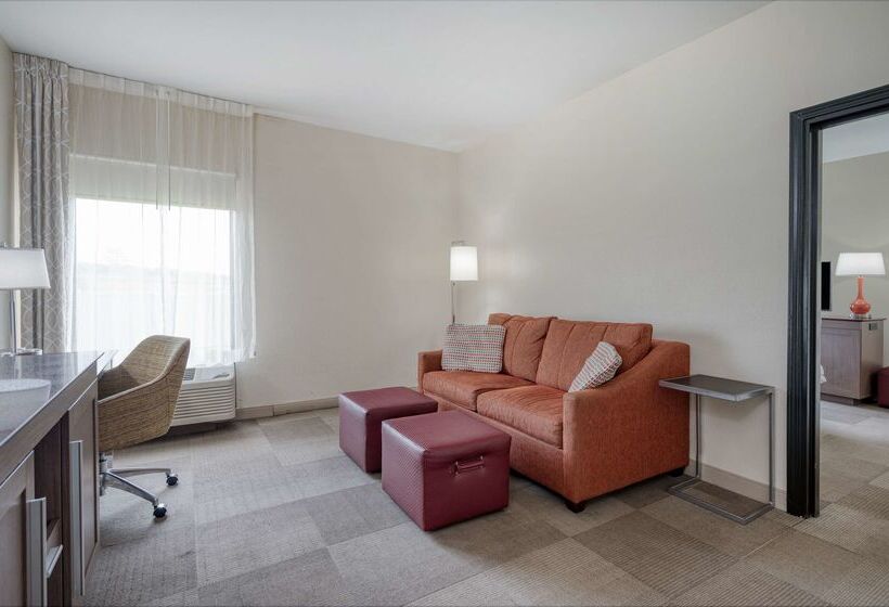 فندق Hampton Inn Collinsville