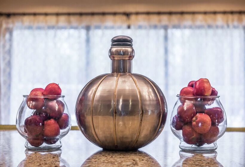 酒店 Hampton Inn Columbia Northeastfort Jackson Area