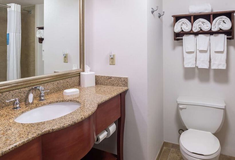 酒店 Hampton Inn Columbia Northeastfort Jackson Area