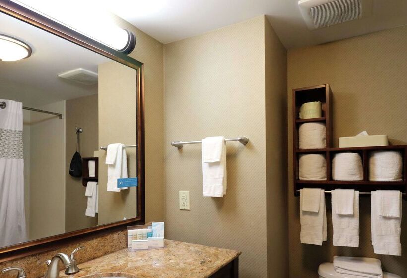 בית מלון כפרי Hampton Inn Columbus South