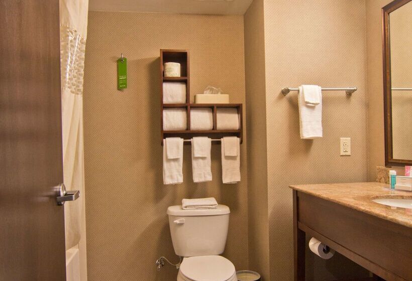 בית מלון כפרי Hampton Inn Columbus South