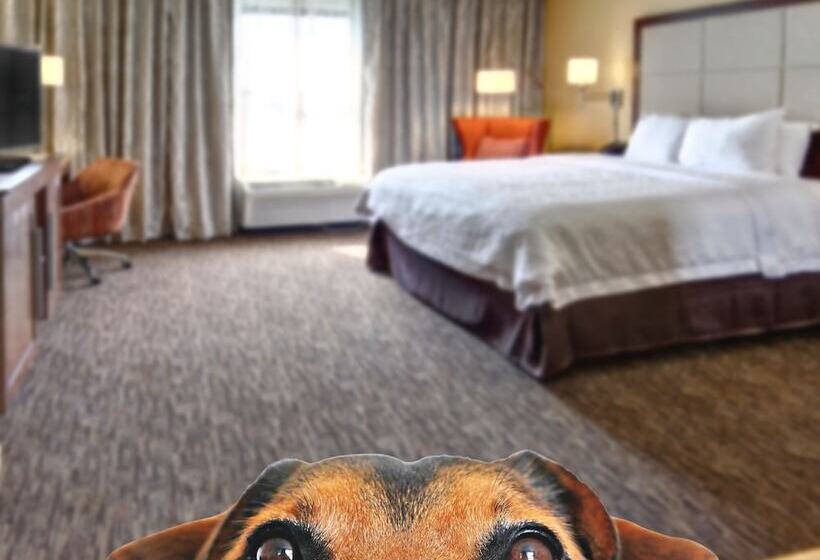 호텔 Hampton Inn By Hilton Concord/kannapolis