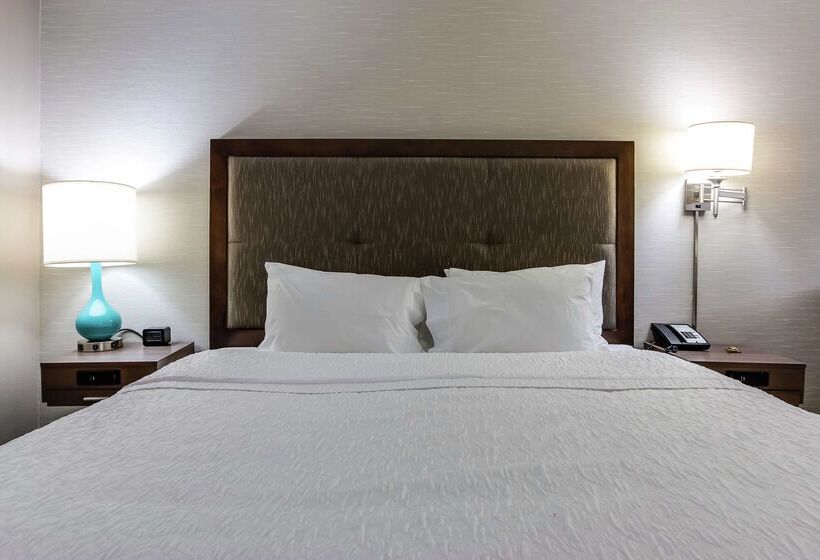 ホテル Hampton Inn Dickson