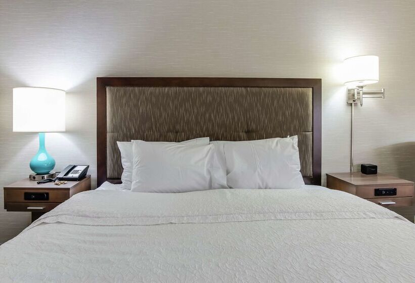 ホテル Hampton Inn Dickson