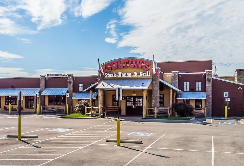 ホテル Hampton Inn Dickson