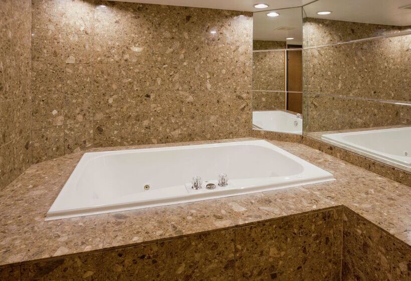 בית מלון כפרי Hampton Inn Duluth Canal Park