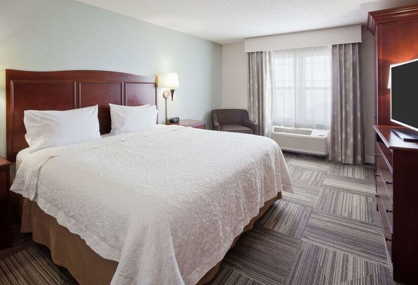 בית מלון כפרי Hampton Inn Duluth Canal Park