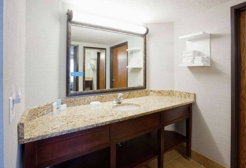 בית מלון כפרי Hampton Inn Duluth Canal Park