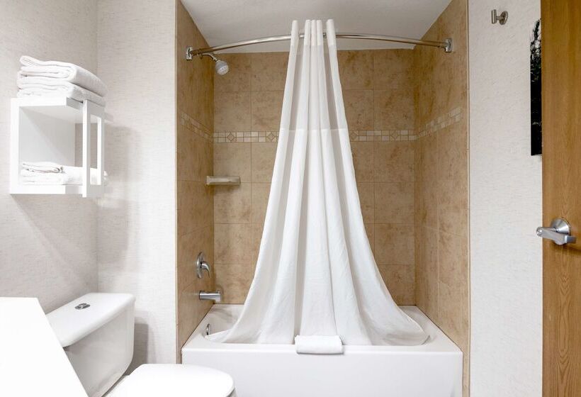 فندق Hampton Inn Durango