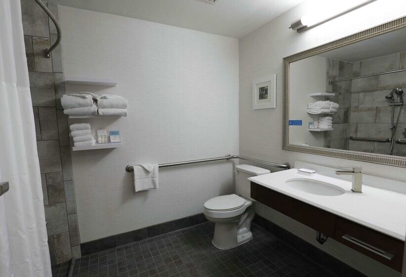 فندق Hampton Inn Dyersburg