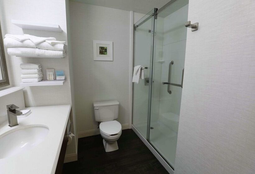 فندق Hampton Inn Dyersburg