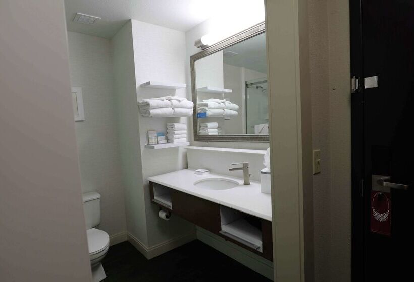 فندق Hampton Inn Dyersburg