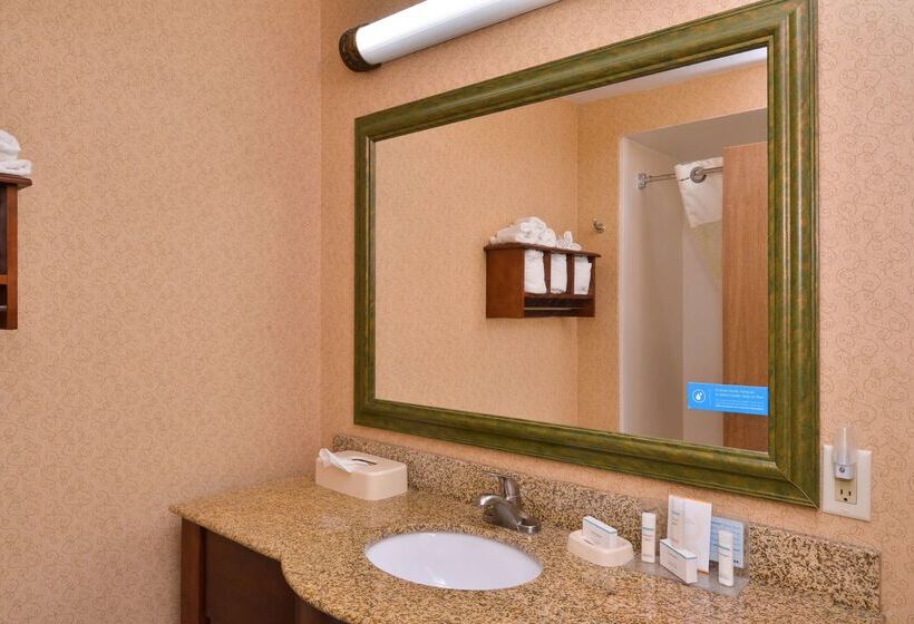ホテル Hampton Inn Elkhart In