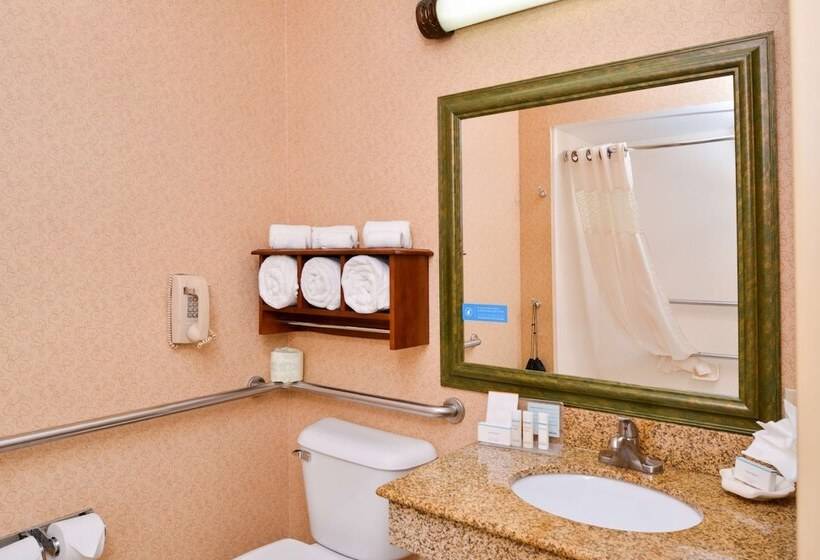 ホテル Hampton Inn Elkhart In