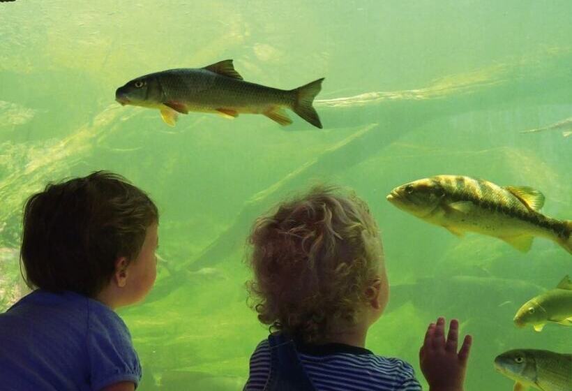 فندق Hampton Inn Frankfort