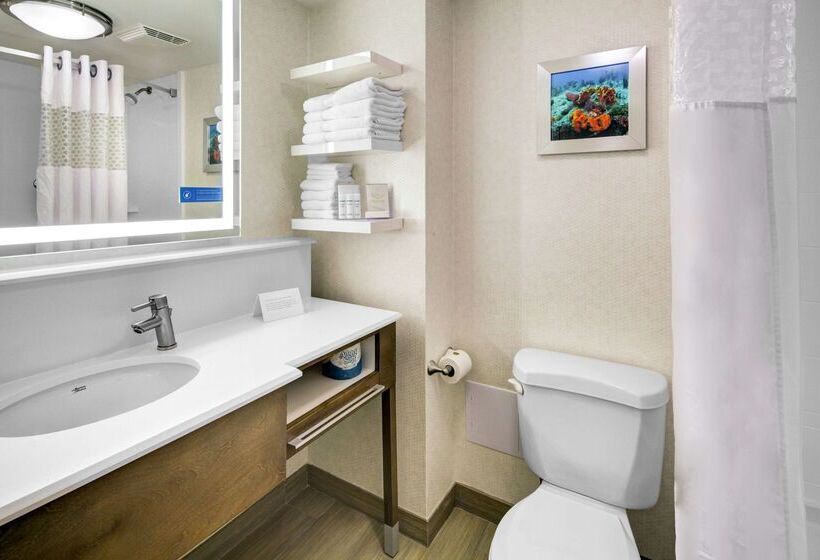 فندق Hampton Inn Ft. Lauderdale West/pembroke Pines