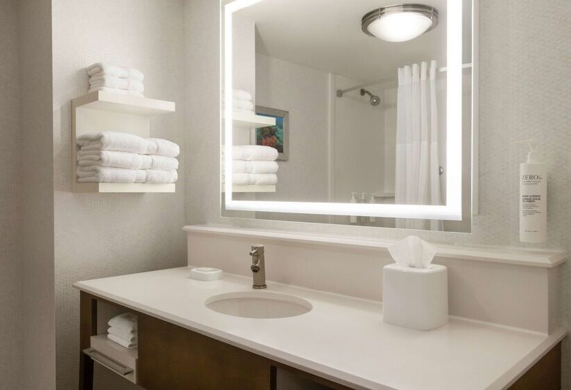 فندق Hampton Inn Ft. Lauderdale West/pembroke Pines