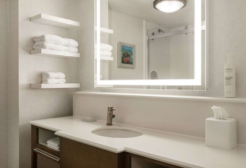 فندق Hampton Inn Ft. Lauderdale West/pembroke Pines