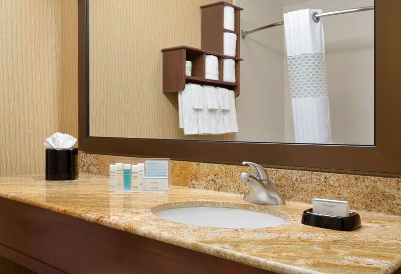 ホテル Hampton Inn Fort Worth Southwest Cityview