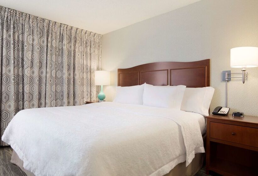 ホテル Hampton Inn Fort Worth Southwest Cityview