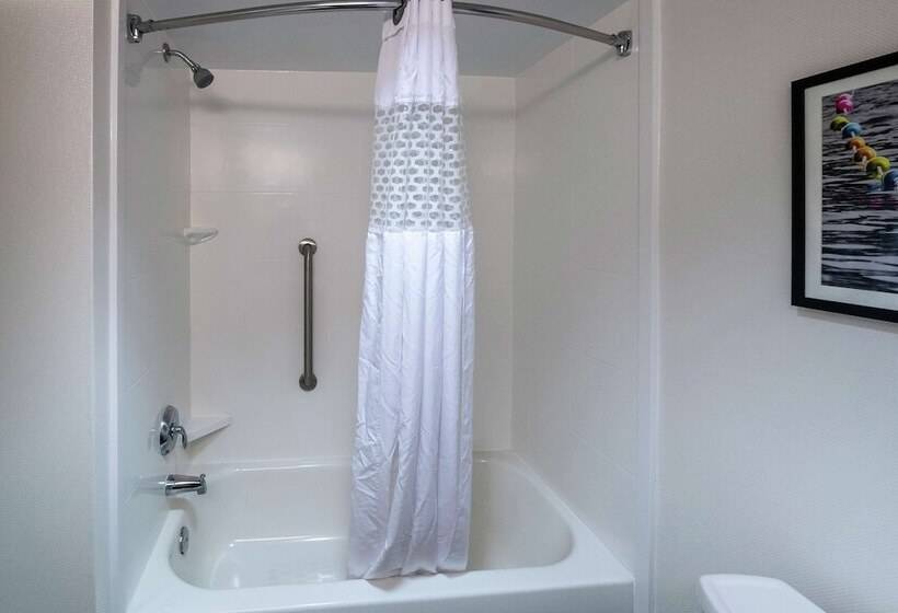 ホテル Hampton Inn Gainesville