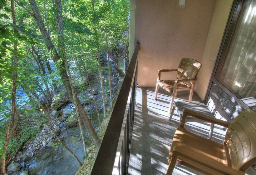 בית מלון כפרי Hampton Inn Gatlinburg