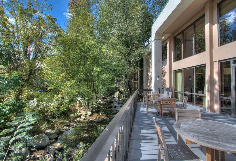 בית מלון כפרי Hampton Inn Gatlinburg