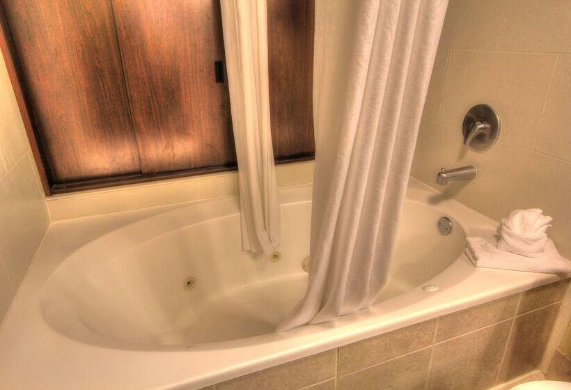 בית מלון כפרי Hampton Inn Gatlinburg