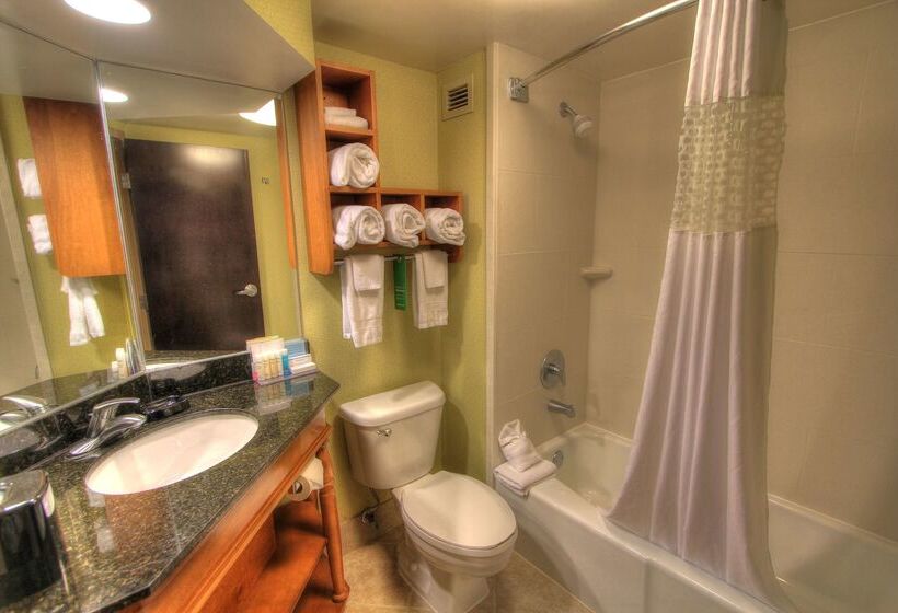 בית מלון כפרי Hampton Inn Gatlinburg