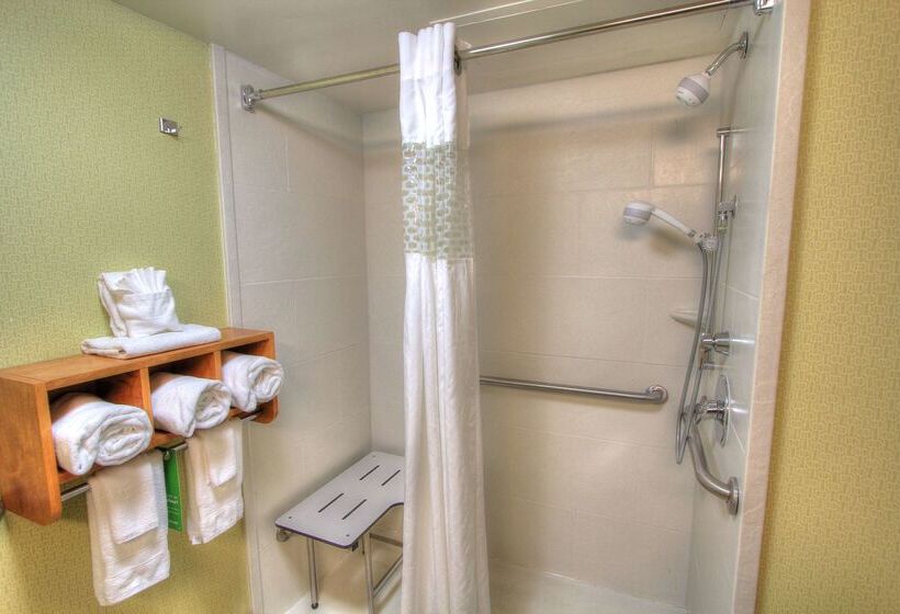 בית מלון כפרי Hampton Inn Gatlinburg