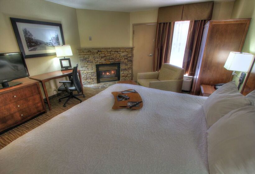 בית מלון כפרי Hampton Inn Gatlinburg