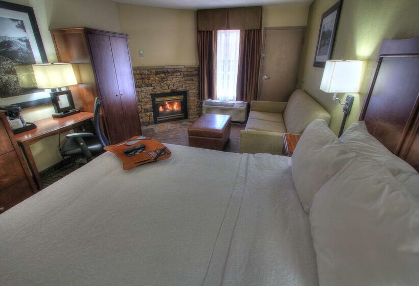 בית מלון כפרי Hampton Inn Gatlinburg