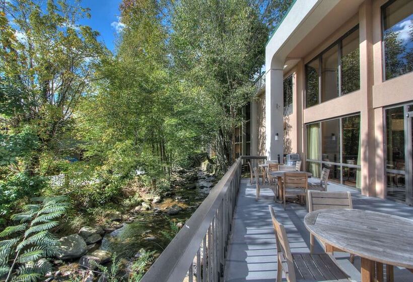 בית מלון כפרי Hampton Inn Gatlinburg