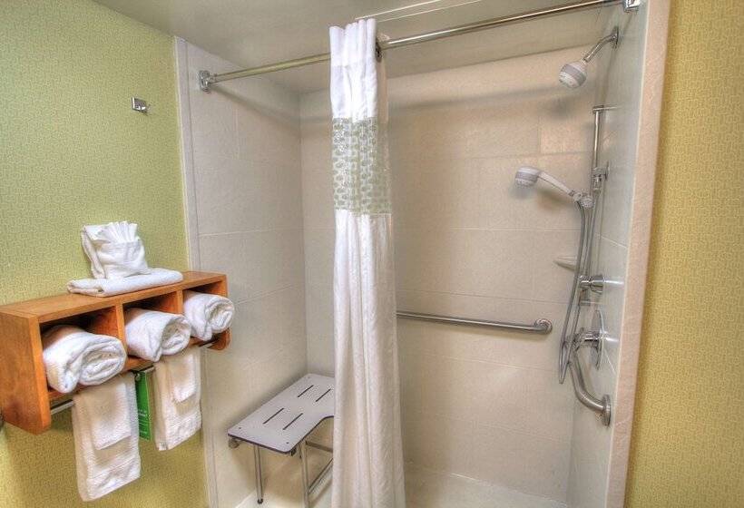 בית מלון כפרי Hampton Inn Gatlinburg