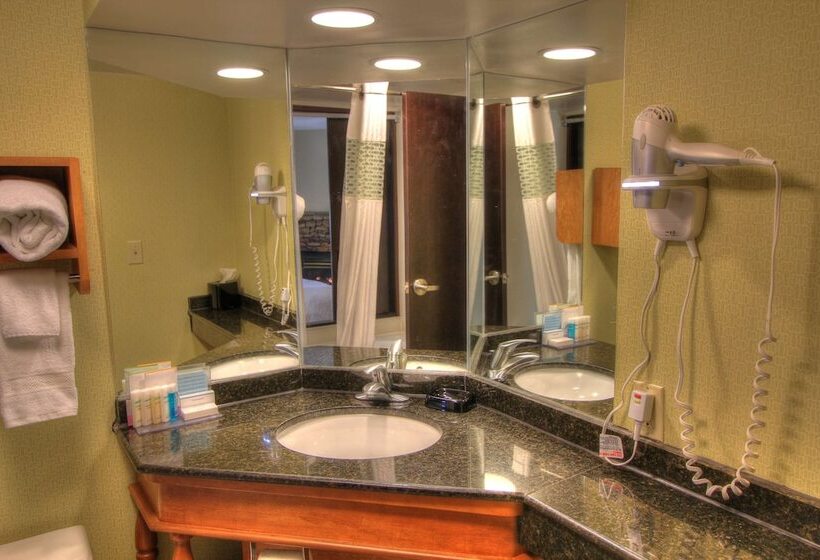 בית מלון כפרי Hampton Inn Gatlinburg