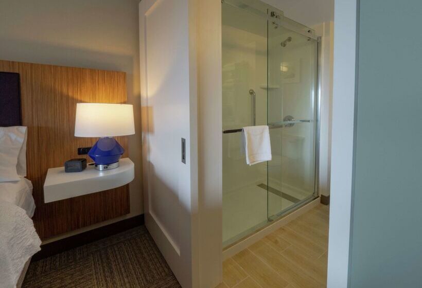 בית מלון כפרי Hampton Inn Hazleton