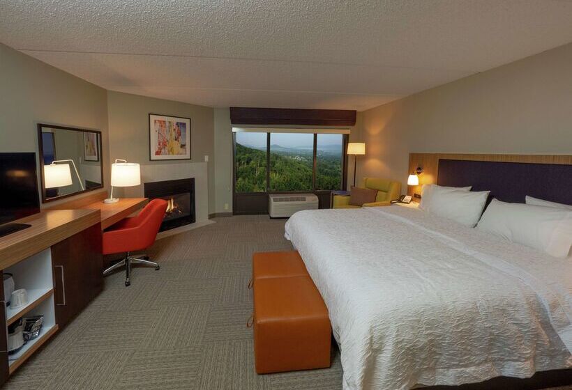 ホテル Hampton Inn Hazleton