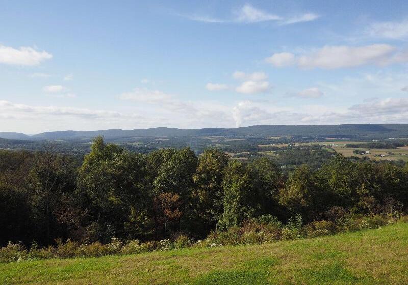 בית מלון כפרי Hampton Inn Hazleton