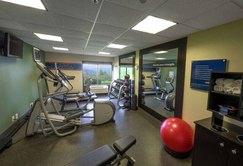 בית מלון כפרי Hampton Inn Hazleton