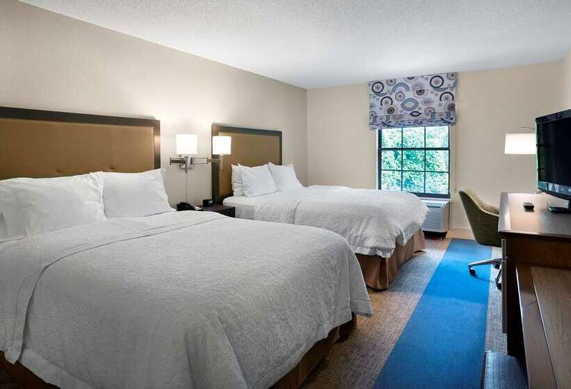 فندق Hampton Inn Helen