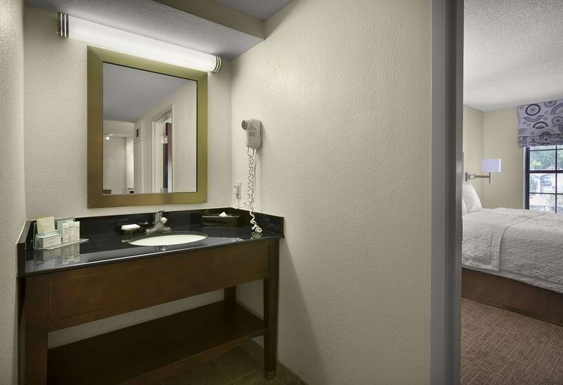 בית מלון כפרי Hampton Inn Helen