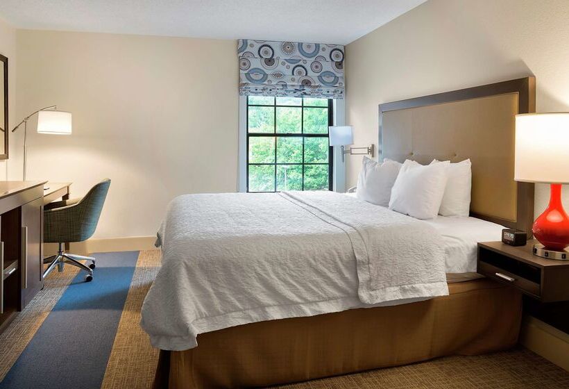 فندق Hampton Inn Helen