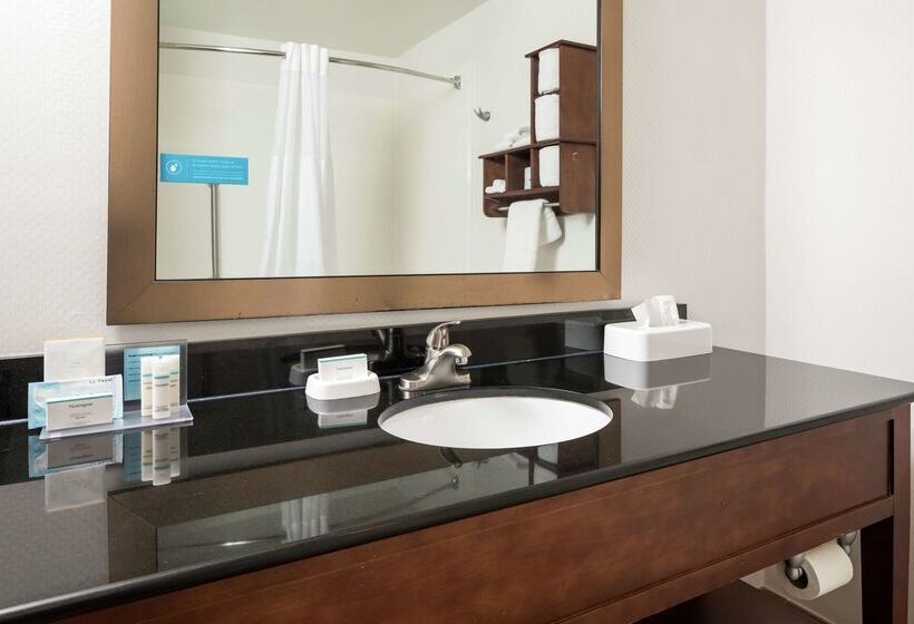 בית מלון כפרי Hampton Inn Helen