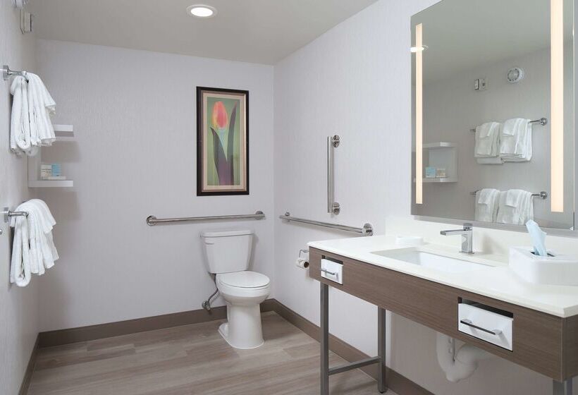 ホテル Hampton Inn Holland