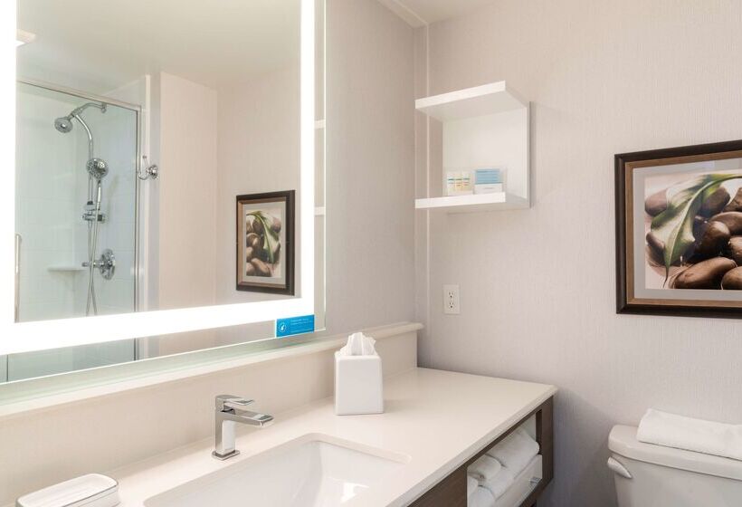 ホテル Hampton Inn Holland