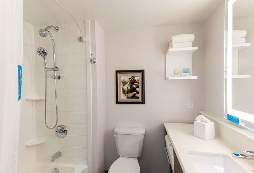 ホテル Hampton Inn Holland